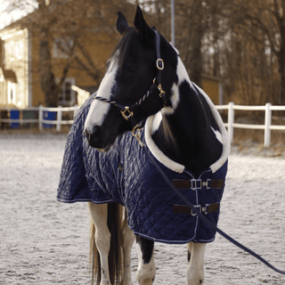 Stalltäcke Equinox NovaLine - Teddyfleece & Lyx för Häst -  från  NovaLine