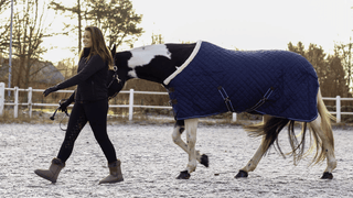 Stalltäcke Equinox NovaLine - Teddyfleece & Lyx för Häst -  från  NovaLine