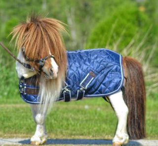 Stalltäcke Equinox NovaLine ponny - lyxig teddyfleece -  från  NovaLine