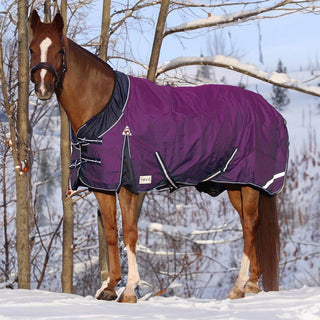 Vintertäcke 300g Freedom Plum - håller din häst varm -  från  NOVA