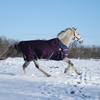 Vintertäcke 300g Freedom Plum - håller din häst varm -  från  NOVA