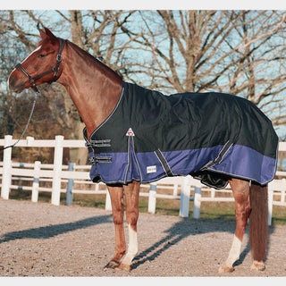 Fuxfärgad häst står i gruspaddock med täcke från nova i modell stormy färg navy  blue.