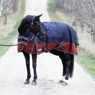 Svart häst står på en grusväg. Hästen har på sig nova sport cyclone navy brickred. läder grimma och svart grimskaft.