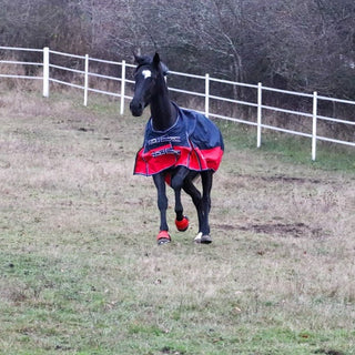 En svart häst med vit stjärn springer i gräshagen. Det är vitt staket. Hästen har nova regntäcke stormy på sig i färg navy red och röda boots från nova på framhovarna. 