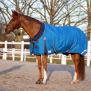 Fuxfärgad häst står i gruspaddocken och har täcke från nova i modellen freedom i färg navy cobolt. 